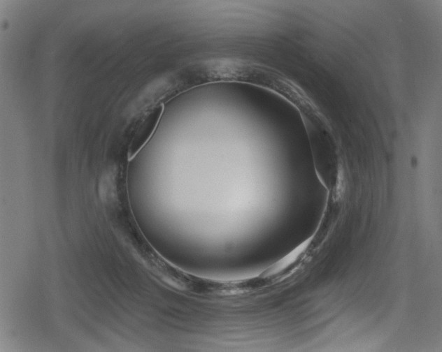 X0000078890217200611131238