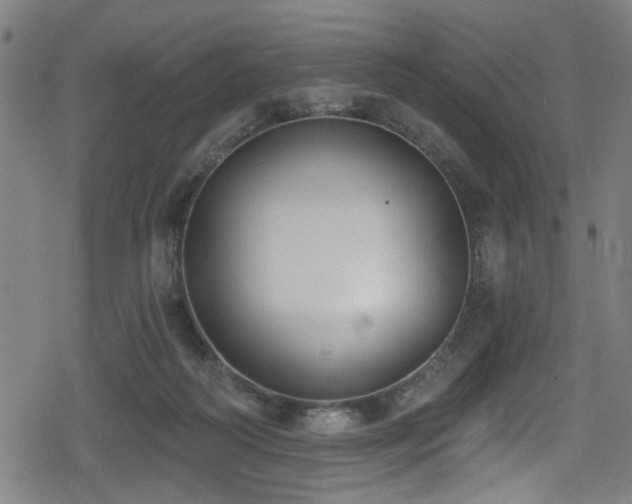 X0000078890218200611131238