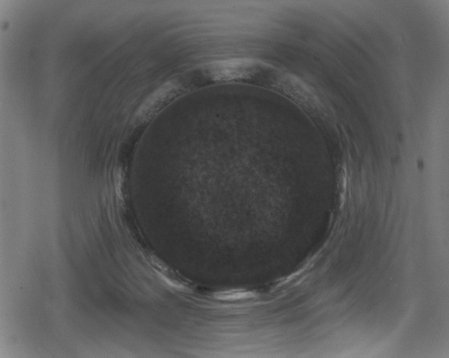 X0000078890219200611131238