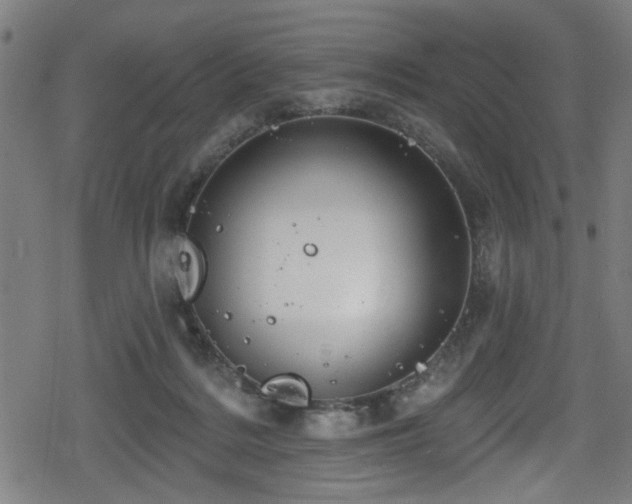 X0000078890220200611131238