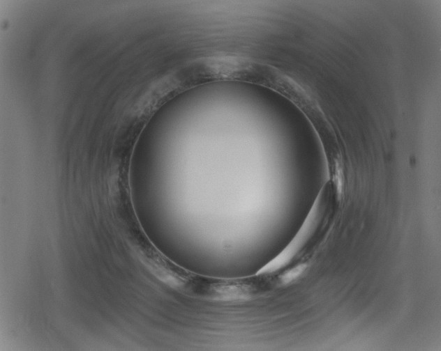 X0000078890221200611131238