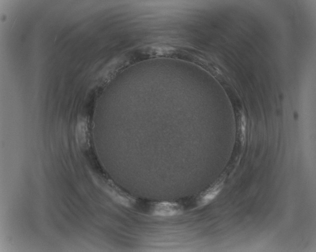 X0000078890222200611131238