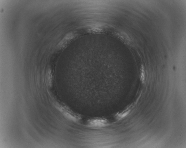 X0000078890223200611131238