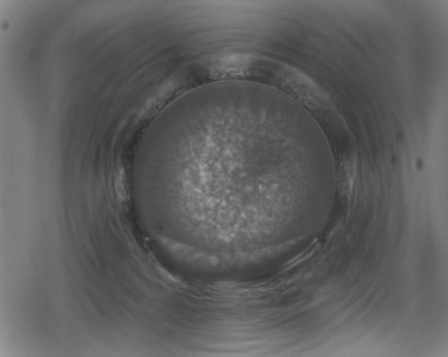 X0000078890224200611131238