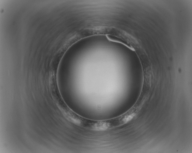 X0000078890225200611131238