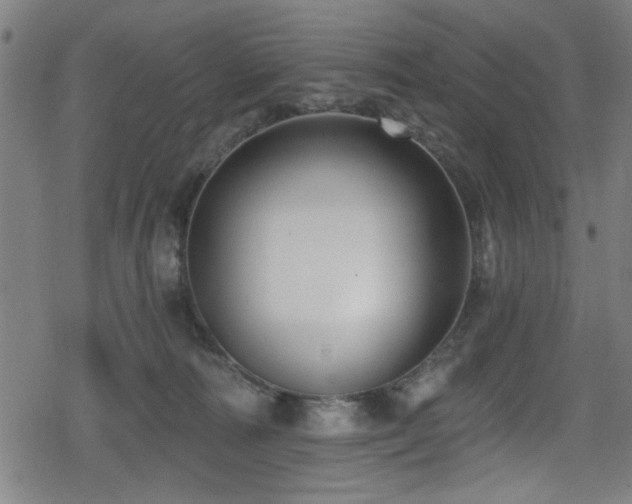 X0000078890226200611131238