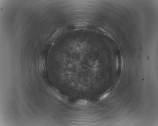 X0000078890227200611131238