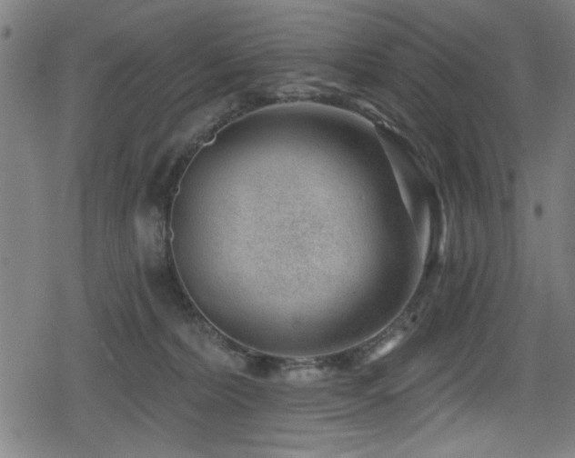 X0000078890228200611131238