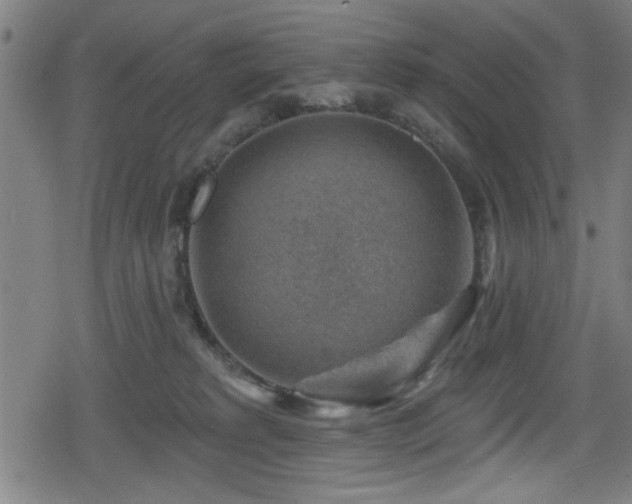 X0000078890229200611131238