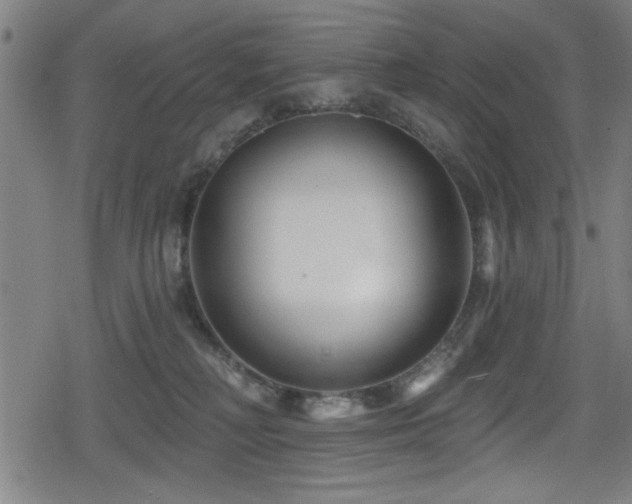 X0000078890230200611131238