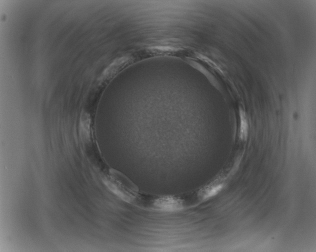 X0000078890231200611131238