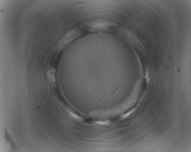 X0000078890232200611131238