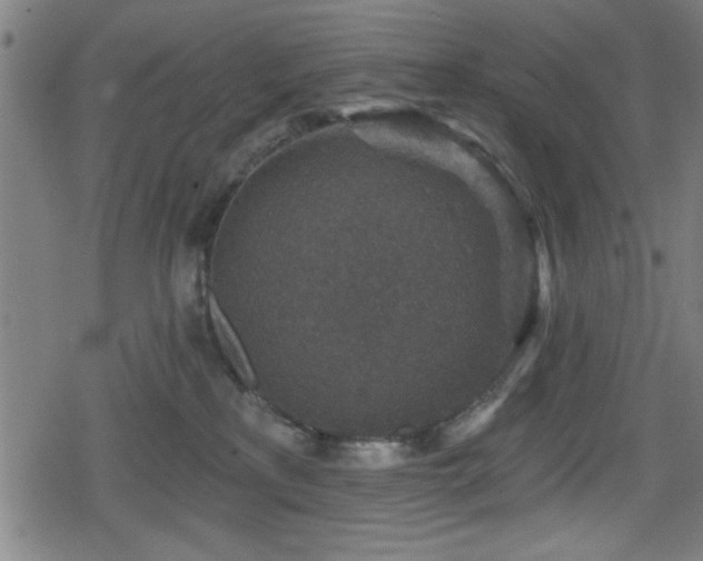 X0000078890233200611131238