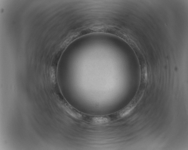 X0000078890234200611131238