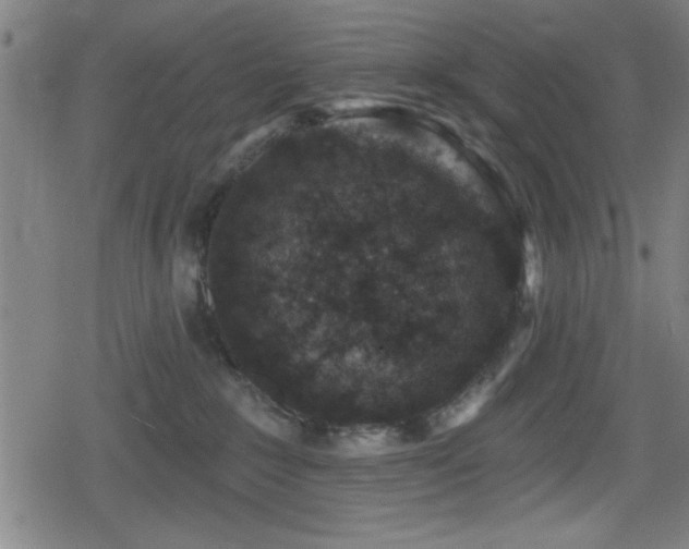 X0000078890235200611131238