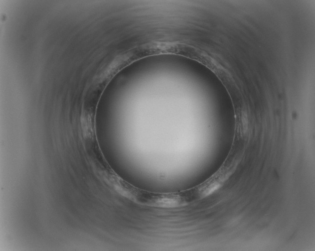 X0000078890236200611131238