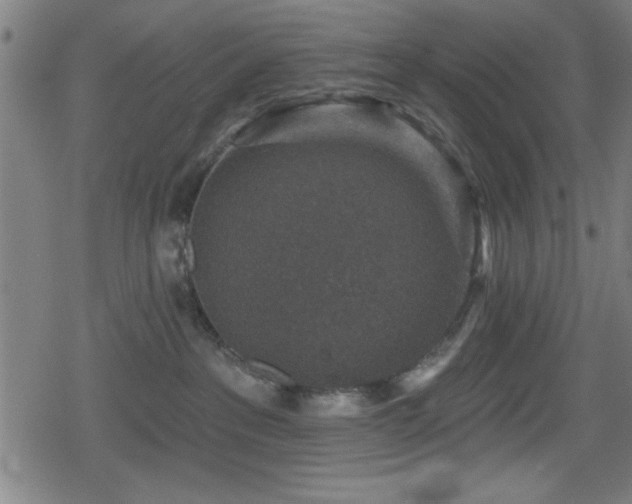 X0000078890237200611131238