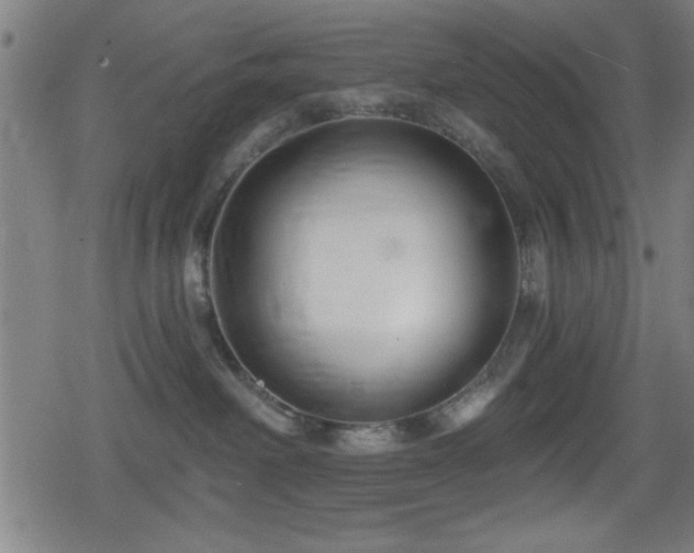 X0000078890238200611131238