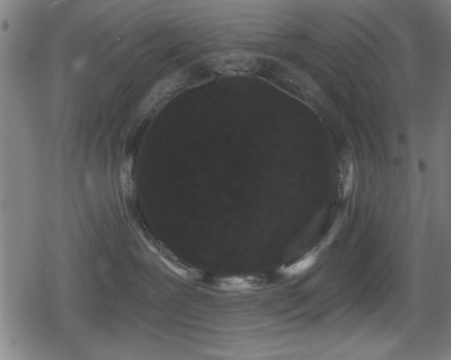 X0000078890239200611131238