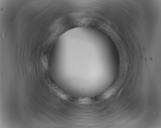 X0000078890240200611131238