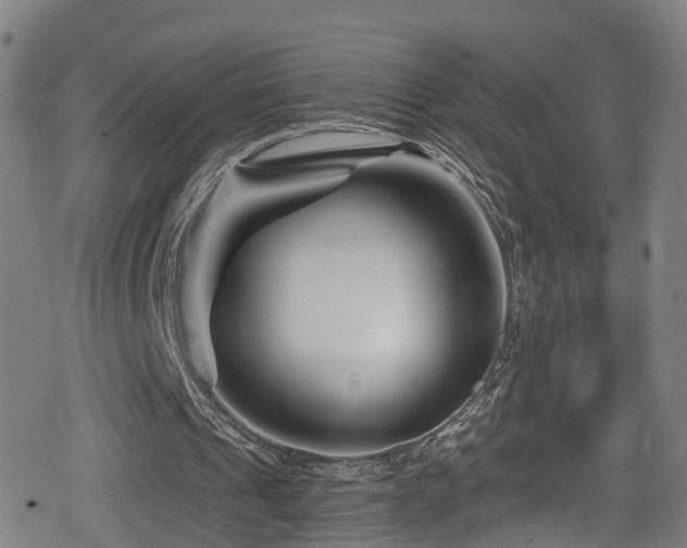 X0000078890241200611131237