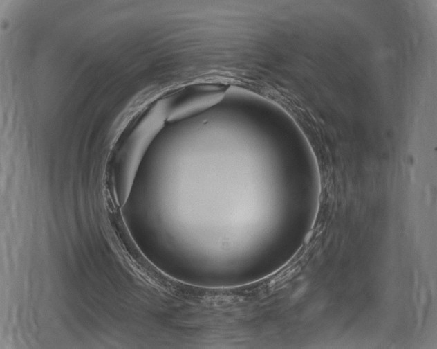 X0000078890242200611131237