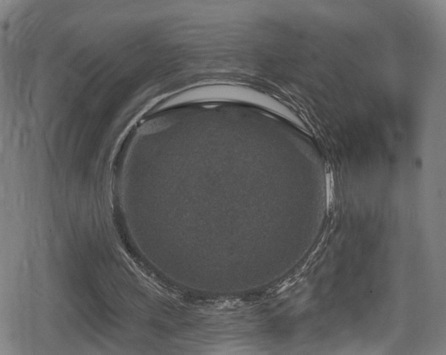 X0000078890243200611131237