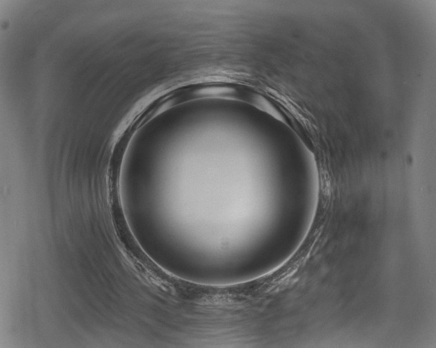 X0000078890244200611131237