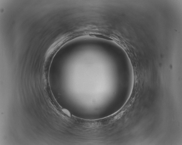 X0000078890245200611131237