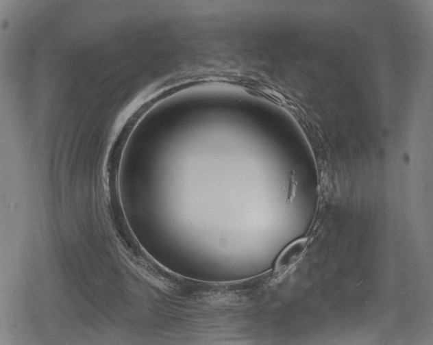 X0000078890246200611131237