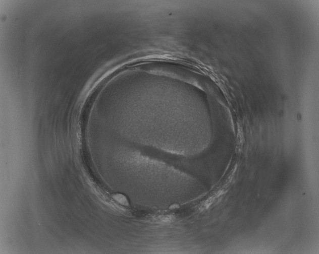 X0000078890247200611131237