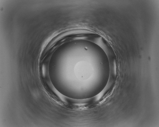 X0000078890248200611131237