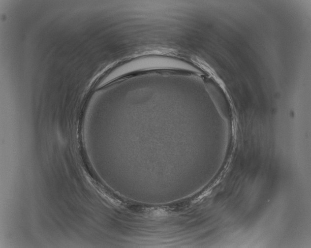 X0000078890249200611131237