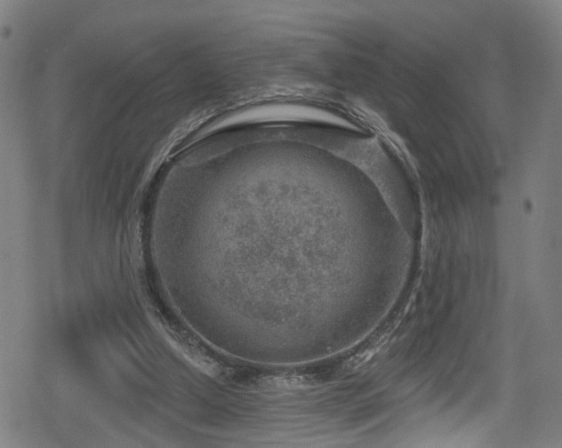 X0000078890250200611131237