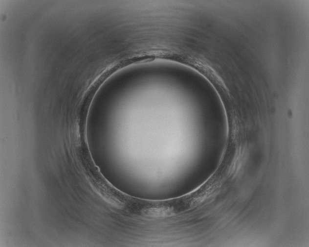 X0000078890251200611131237