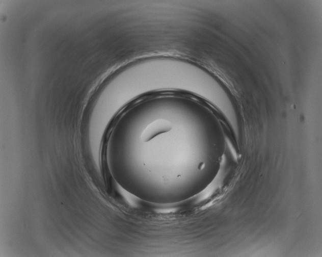 X0000078890252200611131237