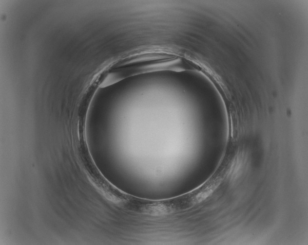 X0000078890253200611131237