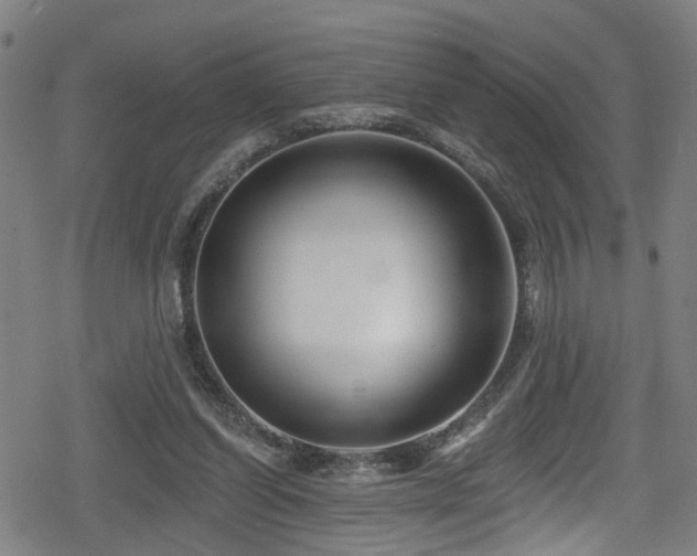 X0000078890254200611131237