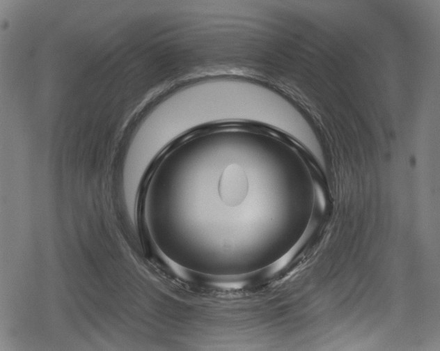 X0000078890256200611131237