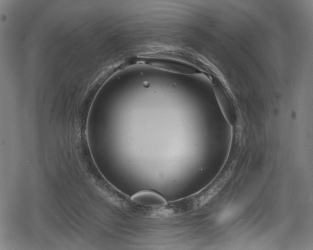 X0000078890257200611131237