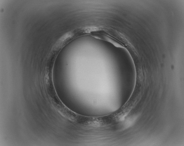 X0000078890259200611131237