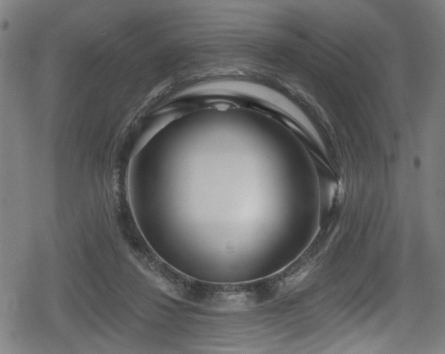 X0000078890260200611131237