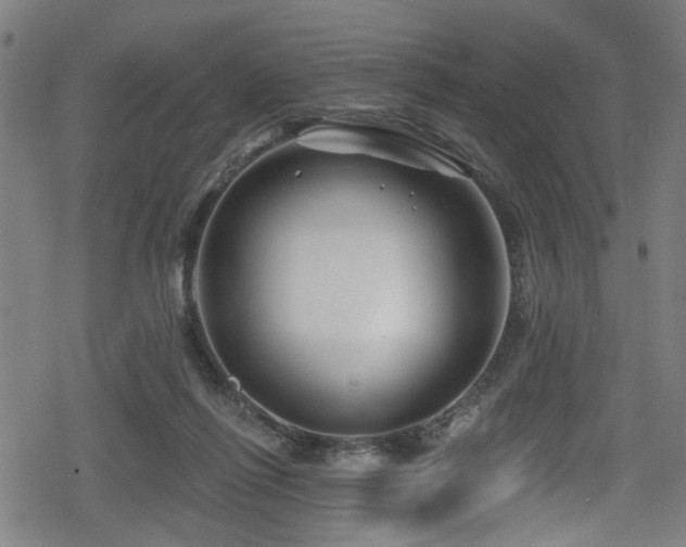 X0000078890262200611131237