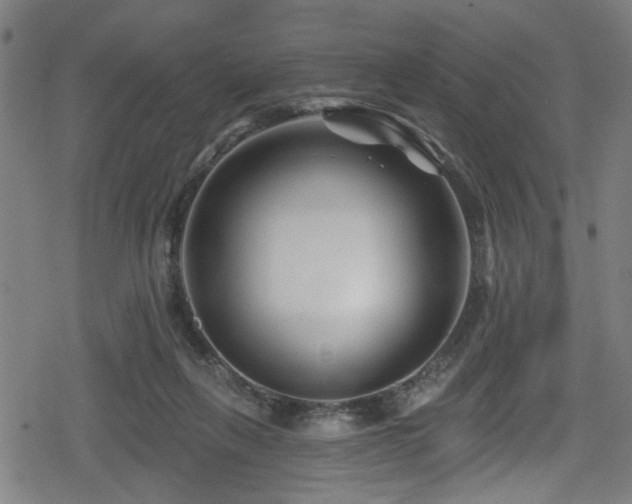 X0000078890263200611131237