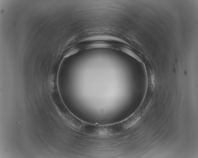 X0000078890264200611131237