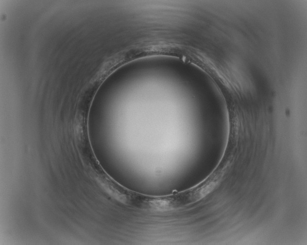 X0000078890265200611131237