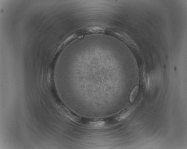 X0000078890266200611131237