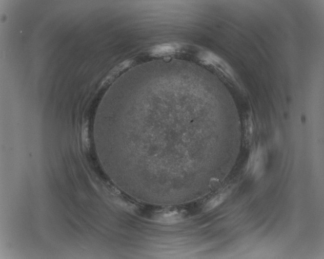 X0000078890267200611131237