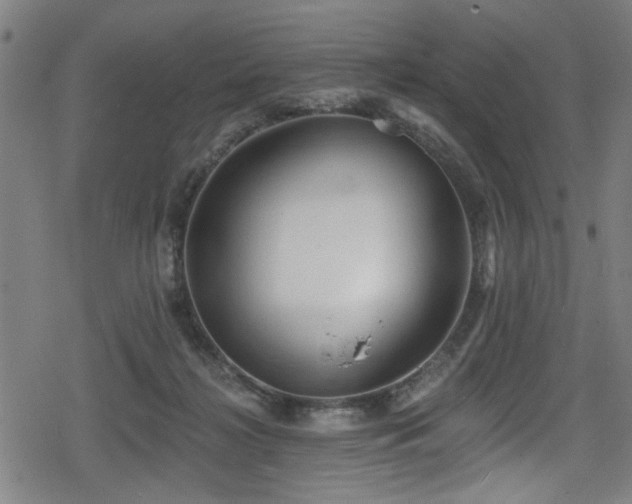 X0000078890268200611131237