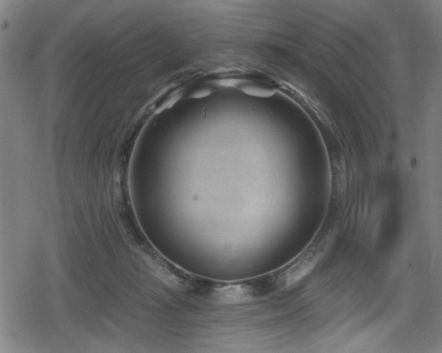 X0000078890269200611131237